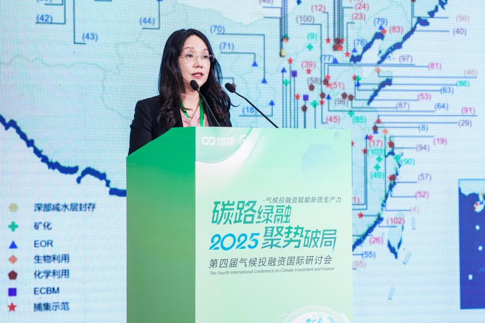 国家能源集团新能源技术研究院党委副书记、总经理肖宝玲