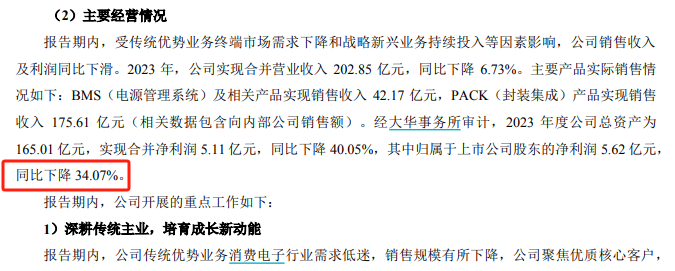 来源：德赛电池年报摘要截图