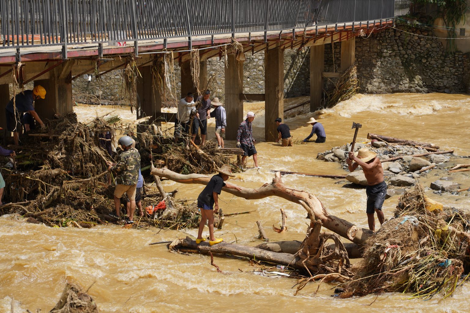 ©️ Zhao Yushun / Greenpeace