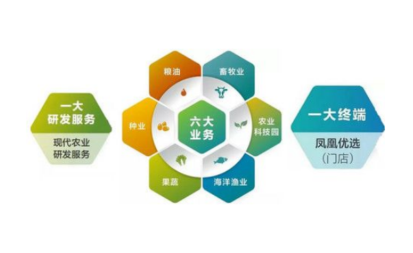 碧桂园农业全产业链 资料来源:公开资料