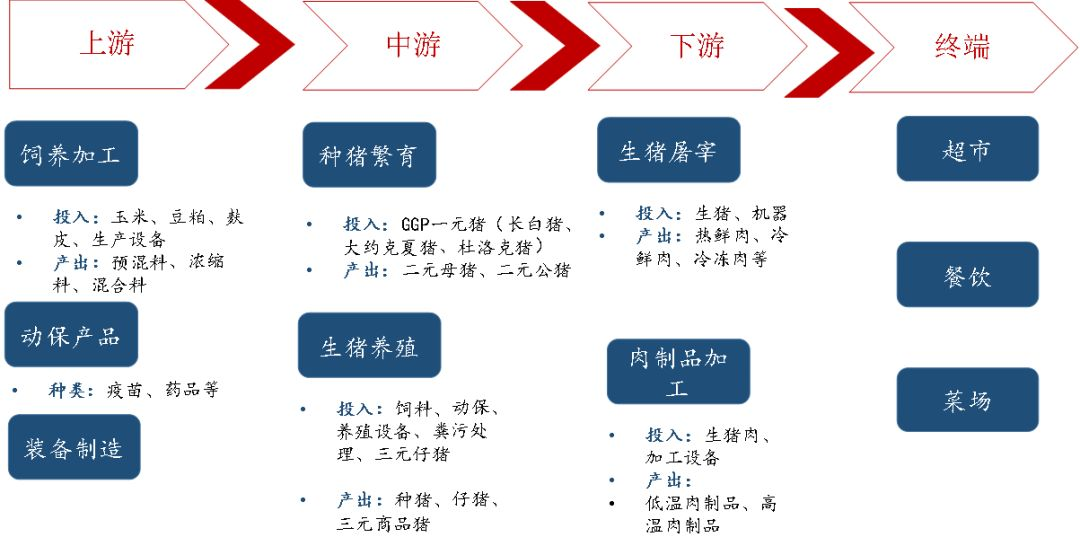 “猪周期何时见底？机构：今年年中有望反转