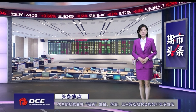 DCE一周市场观察20240628