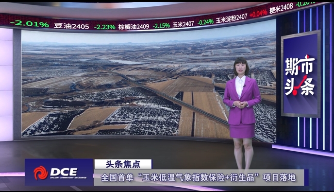 DCE一周市场观察20240510