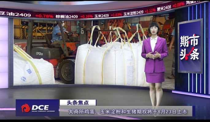 DCE一周市场观察20240816