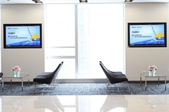 你买的公募基金主要投什么？