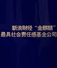 最具社会责任感公司