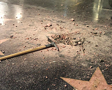 好莱坞星光大道上特朗普名牌被砸碎