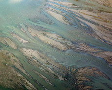 黄河调沙水落画出 河底纹路美似油画