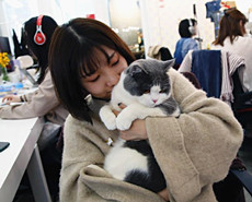 企业为员工减压推出“带宠上班日”