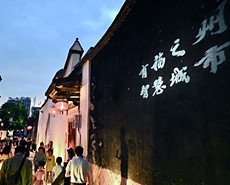 第三届数字峰会“对话未来”活动启幕