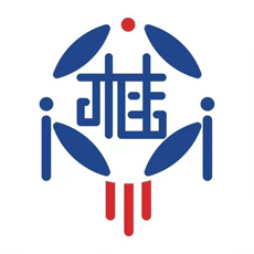 广西八桂惠民保