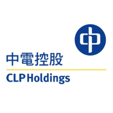 中电控股