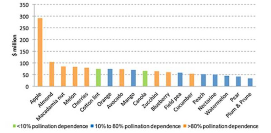 澳大利亚授粉依赖作物的产值 （资料来源：澳大利亚农业部，水利部和环境部）