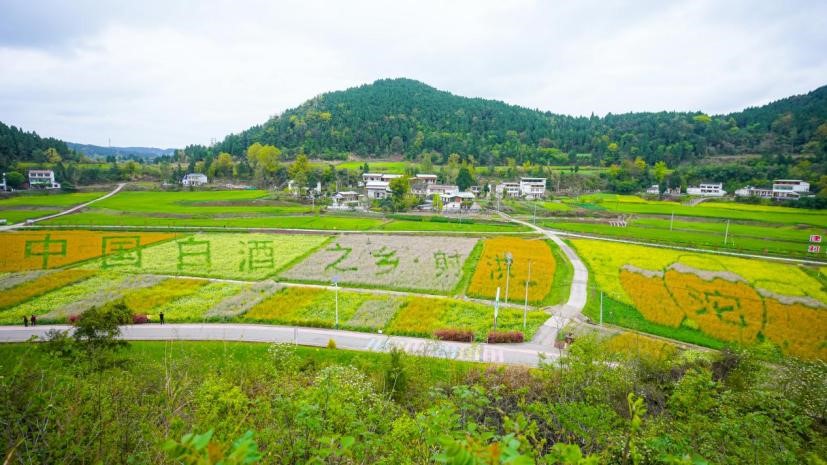 舍得生态原粮基地