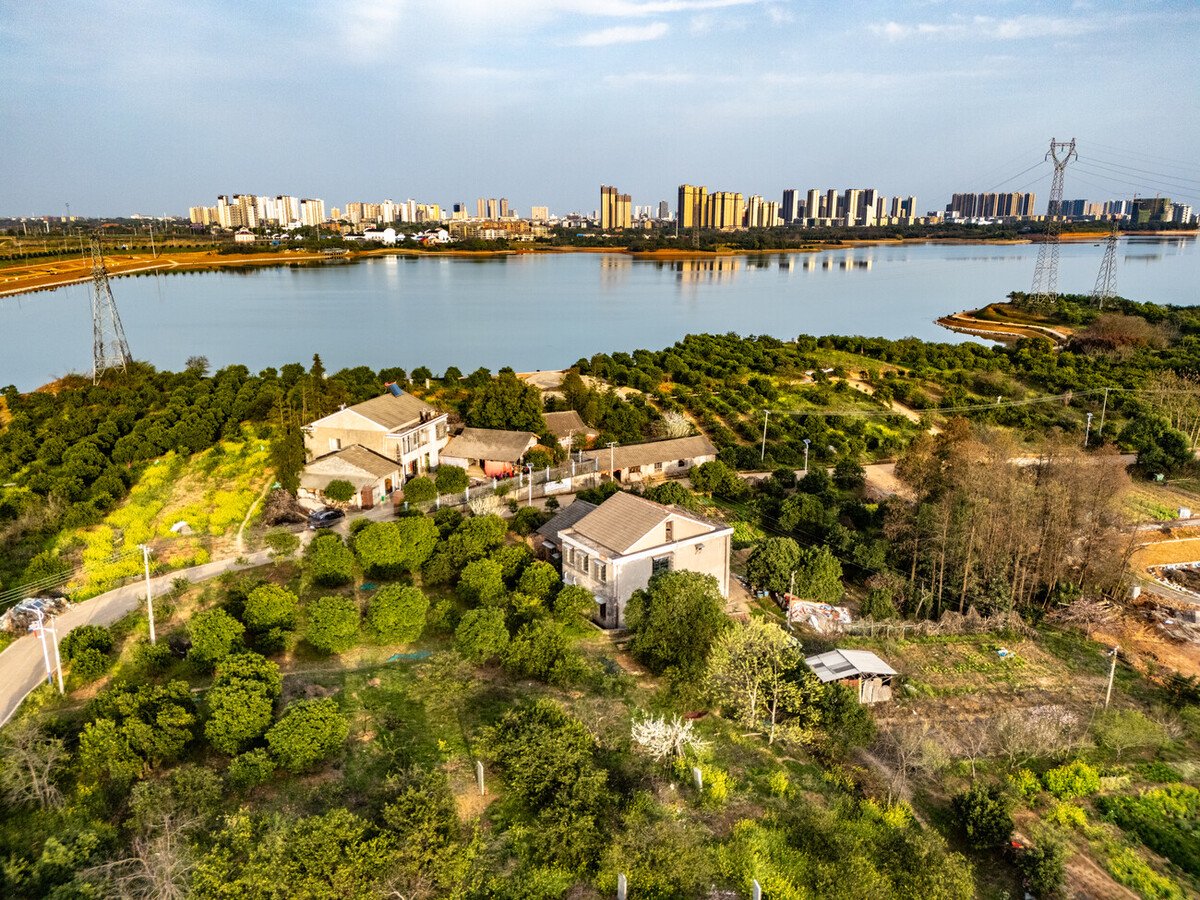 中国湖南省南洞庭湖湿地生态修复与可持续发展项目（图片来源：亚洲开发银行）