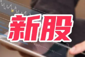 11月14日新股提示：海安集团今日申购