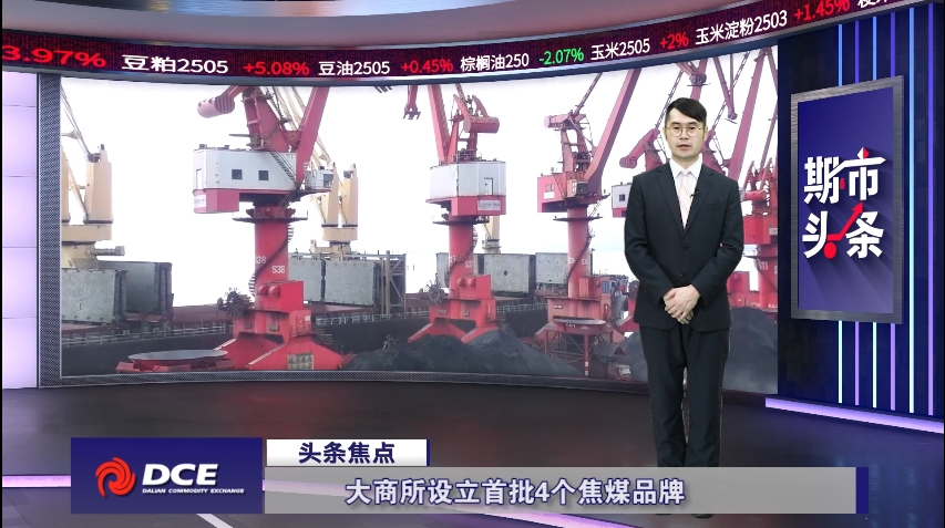 DCE一周市场观察20250117