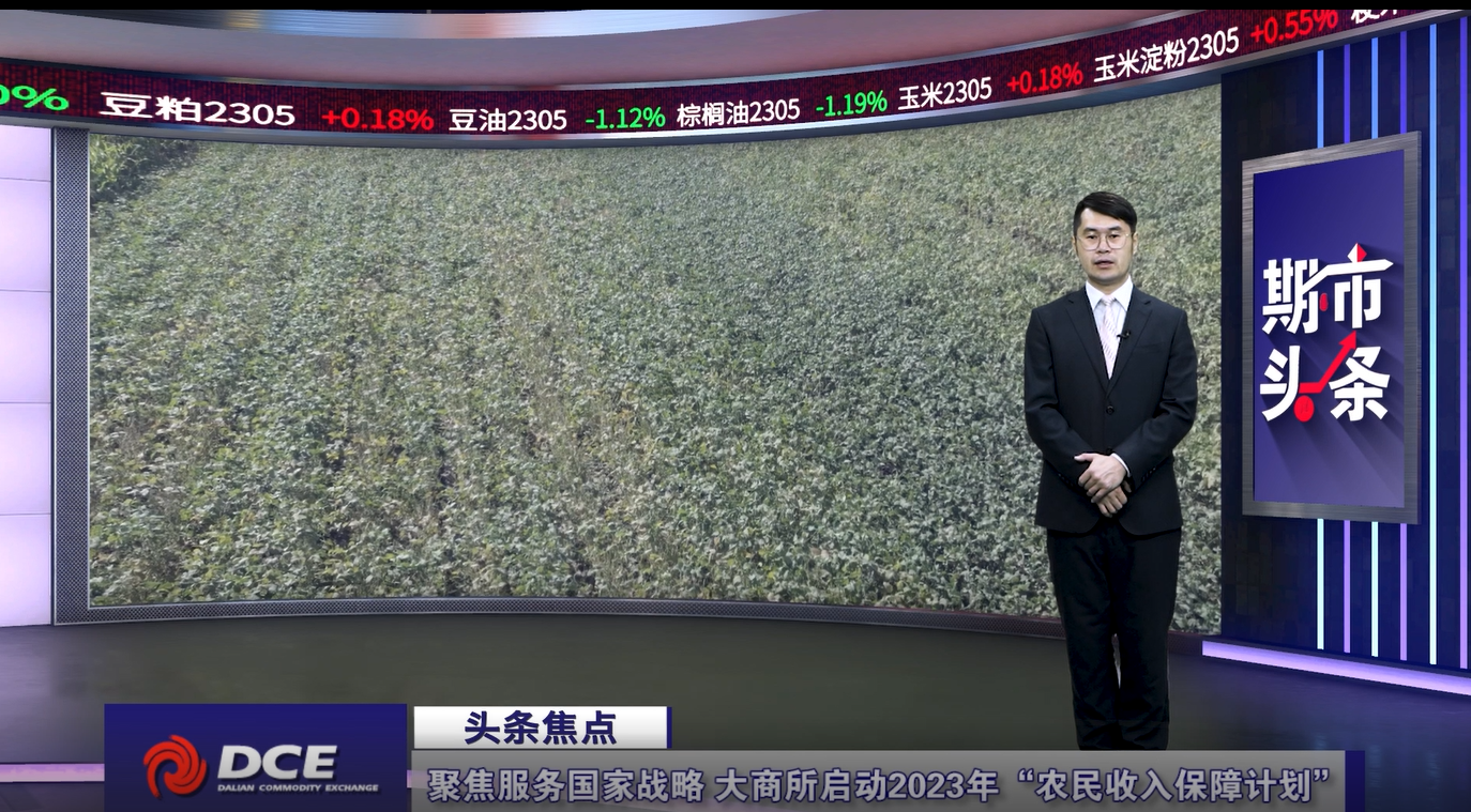 DCE一周市场观察20230310