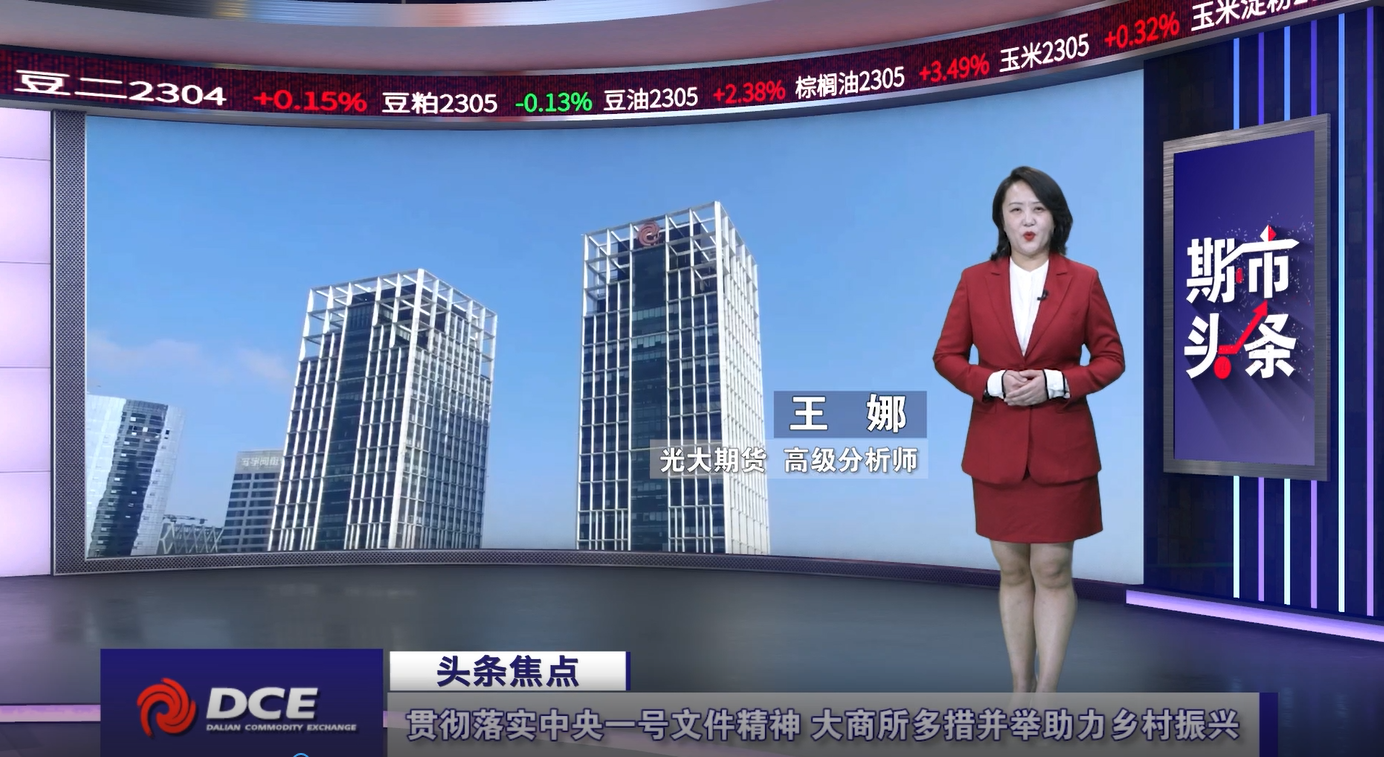 DCE一周市场观察20230217