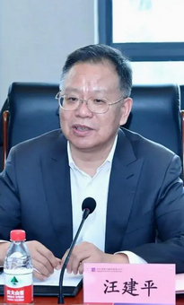 汪建平