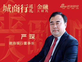 徽商银行董事长严琛：打造全面服务地方经济社会发展的主流银行|金融大时代