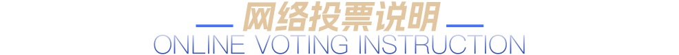 网络投票说明