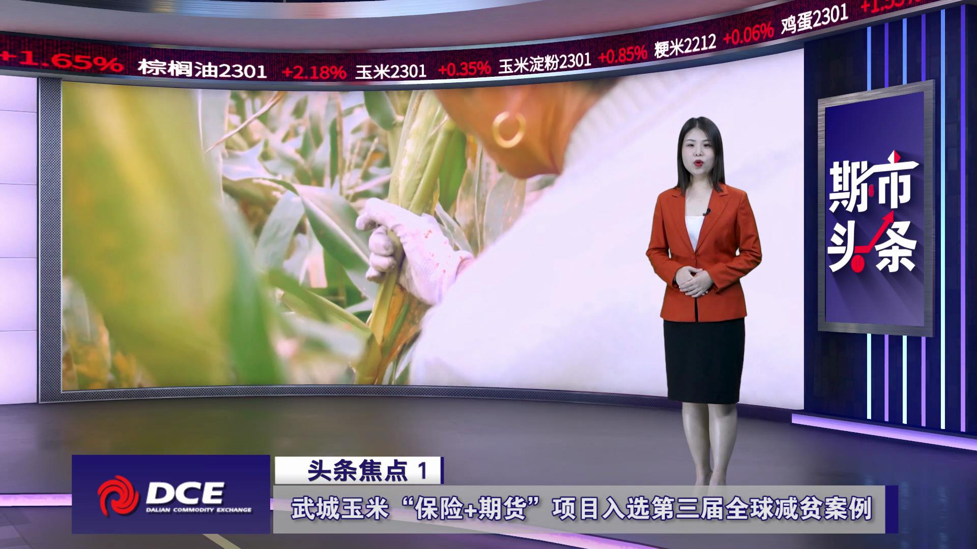 DCE一周市场观察20221125