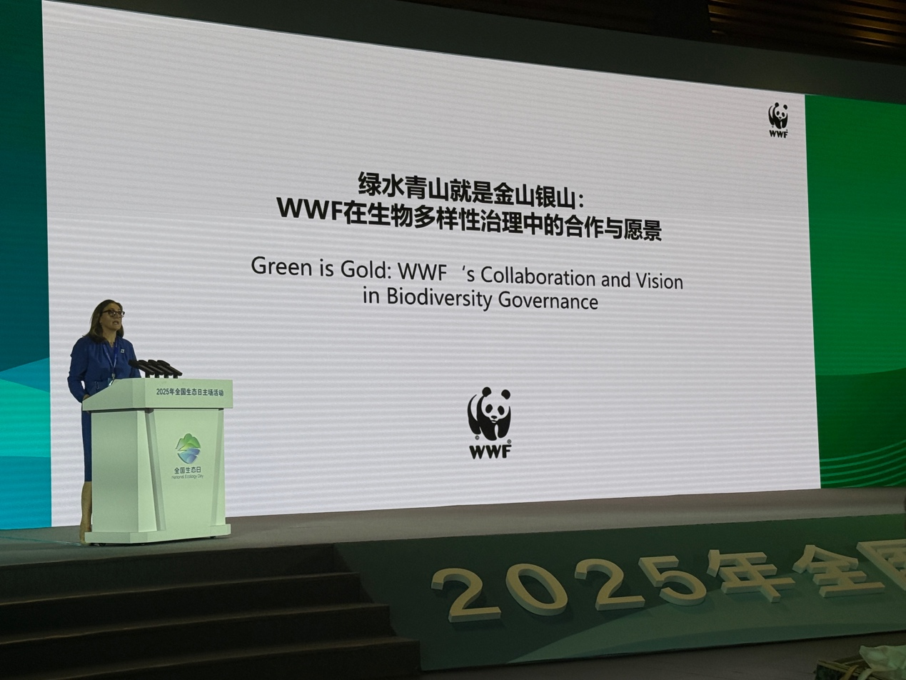 © WWF  世界自然基金会英国办公室首席执行官、全球执行委员会轮值委员塔尼亚·斯蒂尔