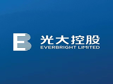 中国光大控股