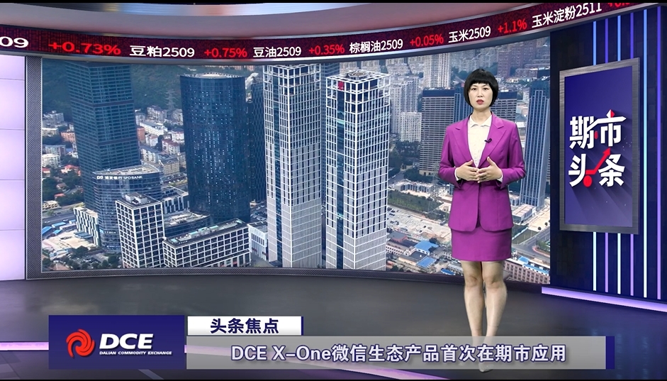 DCE一周市场观察20250110