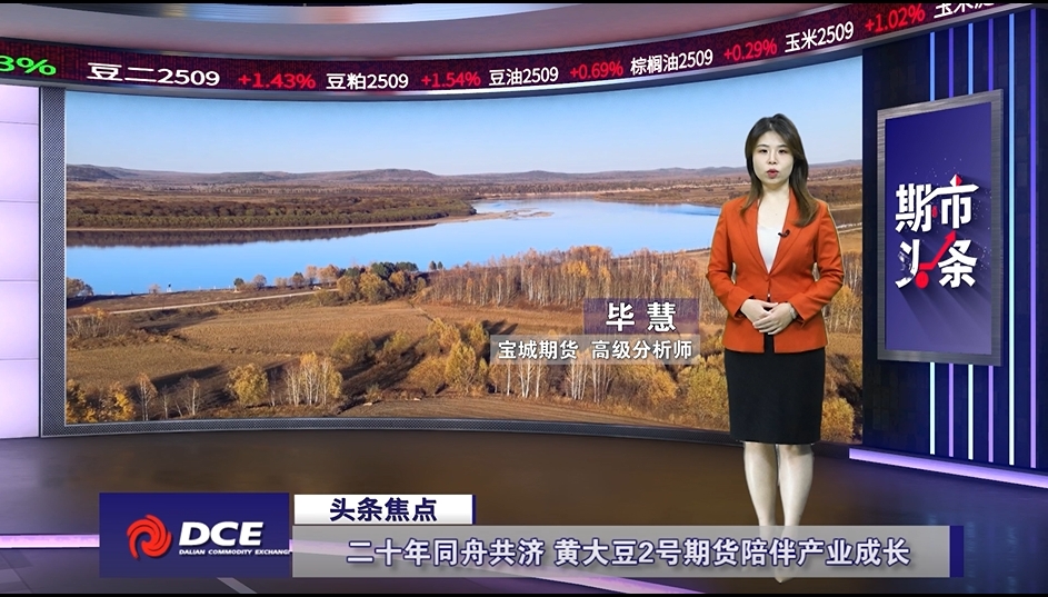 DCE一周市场观察20241227