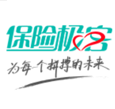 保险极客
