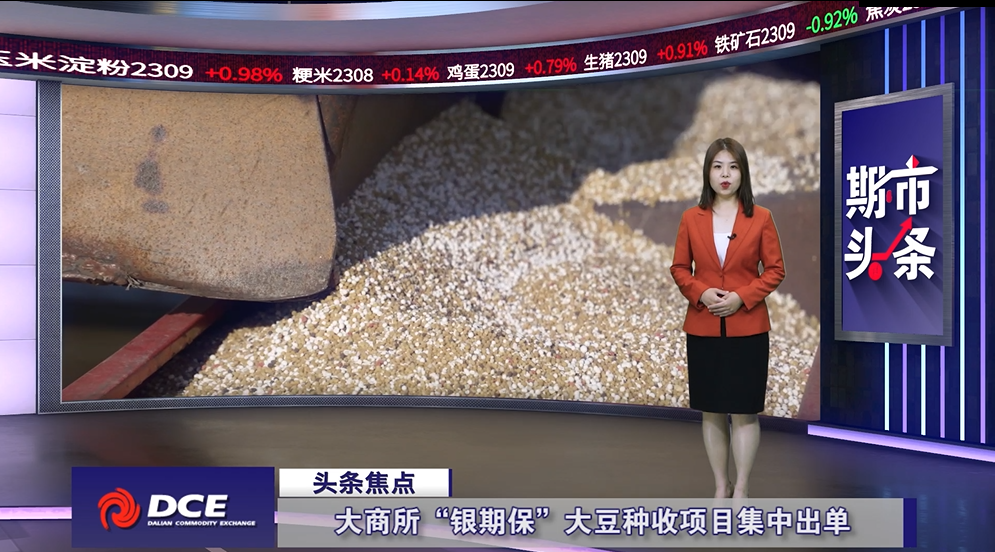 DCE一周市场观察20230616