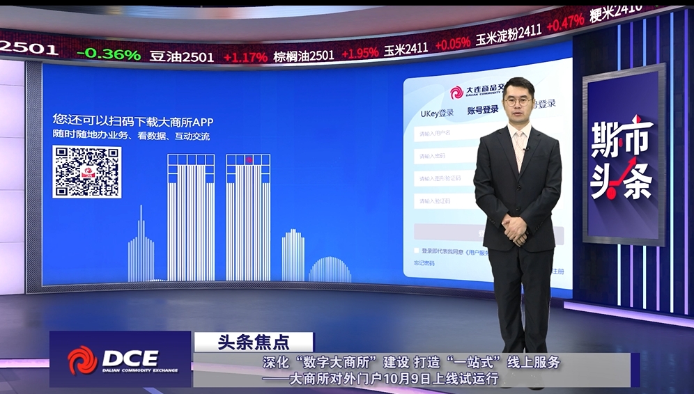 DCE一周市场观察20241011