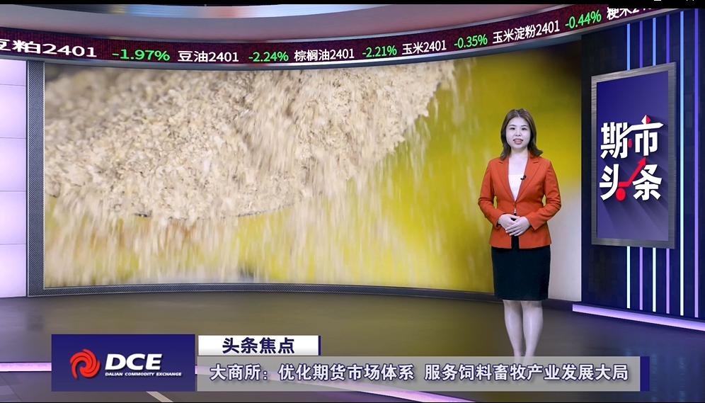 DCE一周市场观察20231117