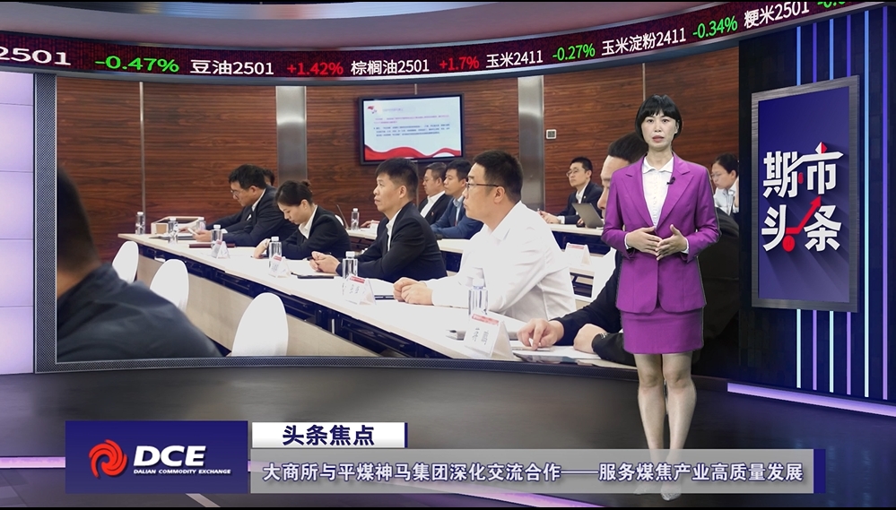 DCE一周市场观察20241101