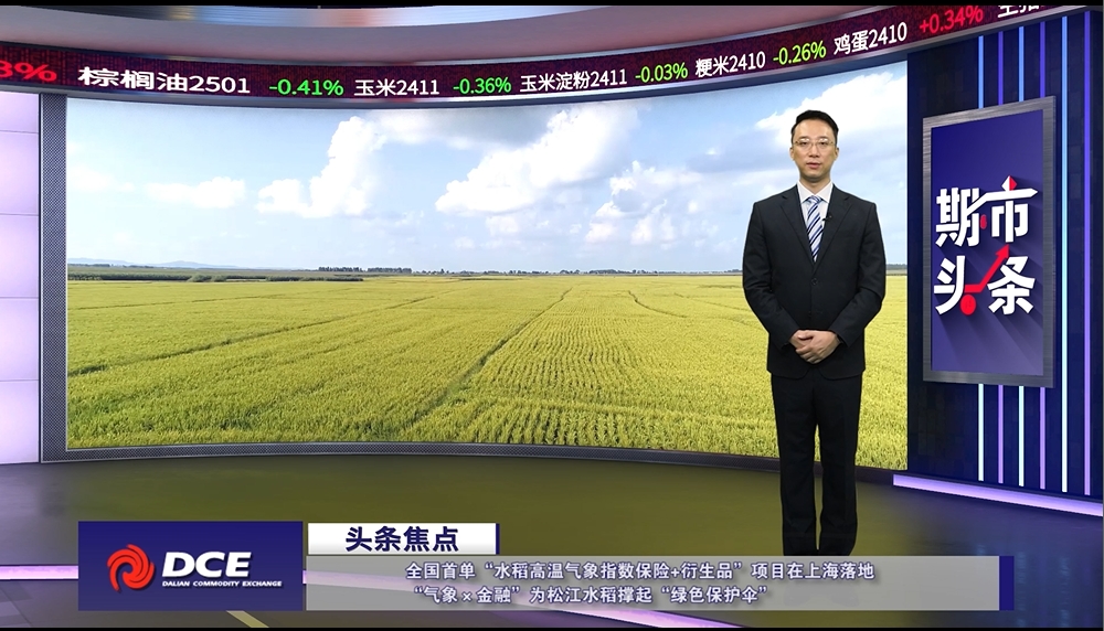 DCE一周市场观察20240913