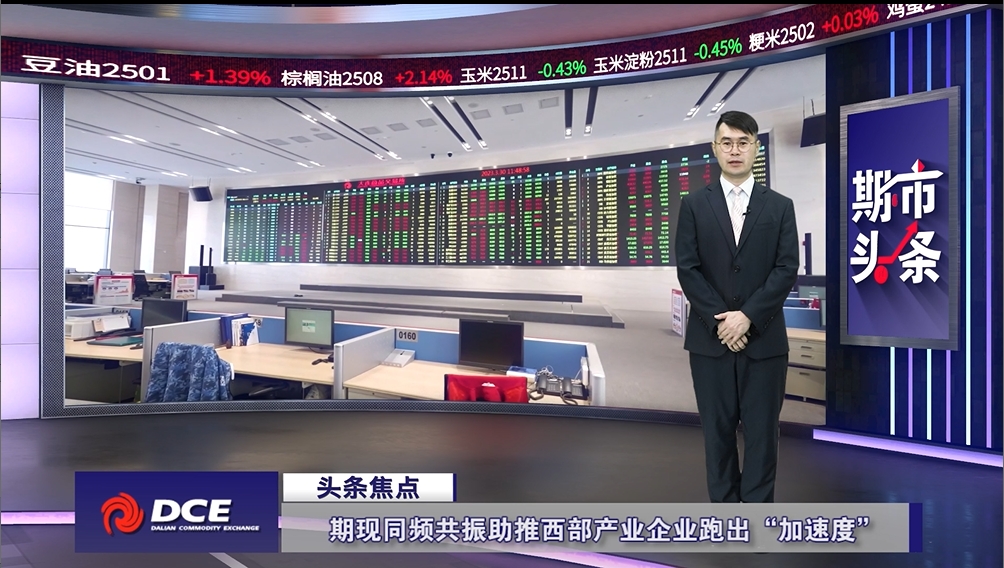 DCE一周市场观察20241129