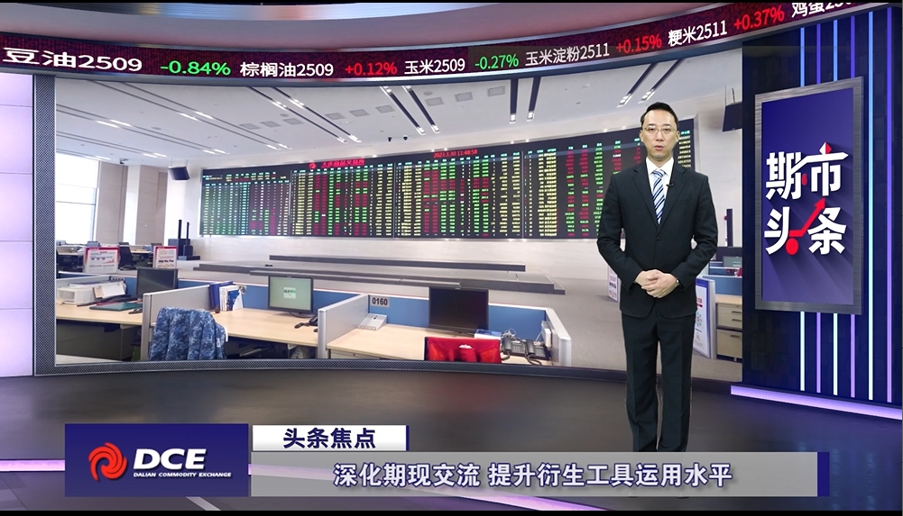 DCE一周市场观察20241213