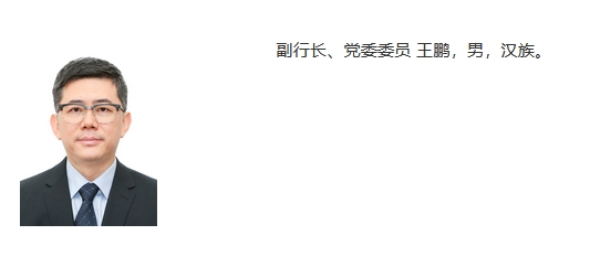 王鹏已任国家开发银行副行长
