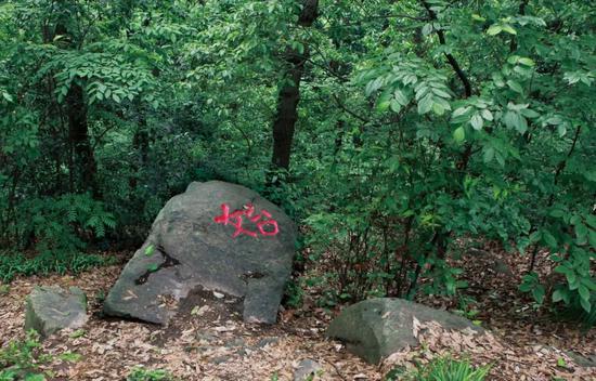 陈东升：时间就是答案