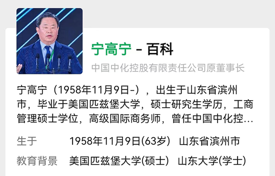 “并购达人”宁高宁“退役”,执掌过4家世界500强企业_新浪财经_新浪网