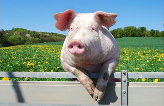 有些人一辈子经历了无数大风大浪都没事,到后来居然会淹死在洗脸盆里