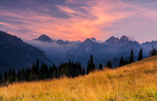 互赞自助平台，真的有免费福利吗？