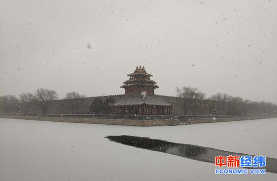 2月12日，大雪中的故宫 中新经纬王潮 摄