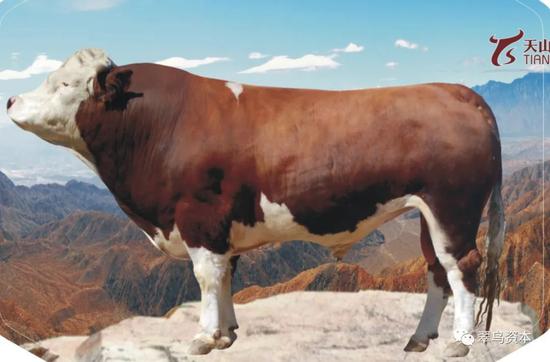 天山生物“爆炒天团”都有谁？私募泽盈投资员工只有5人