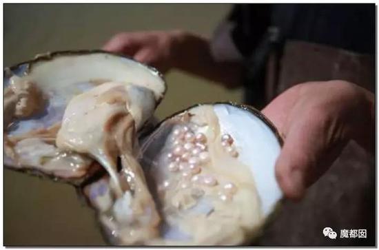 这就是浙江诸暨，西施故里，也是世界上最大的淡水珍珠生产地。