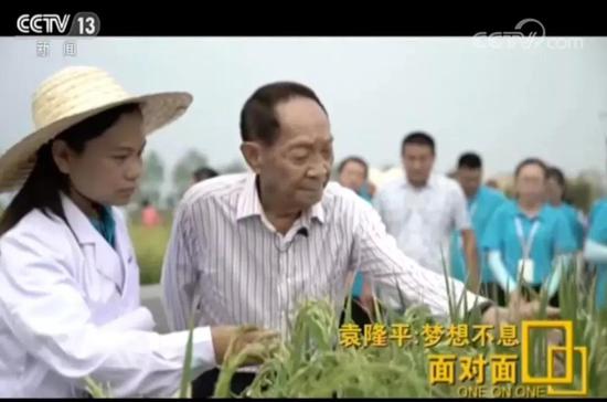 视频网友纷纷祝袁隆平长命超百岁成为00后