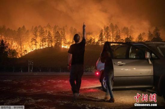 疫情、野火重创之下 米其林将不公布美加州餐厅星级