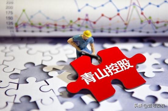 陷入"镍"期货风暴,青山控股的控制人是谁?股权结构是怎样的?